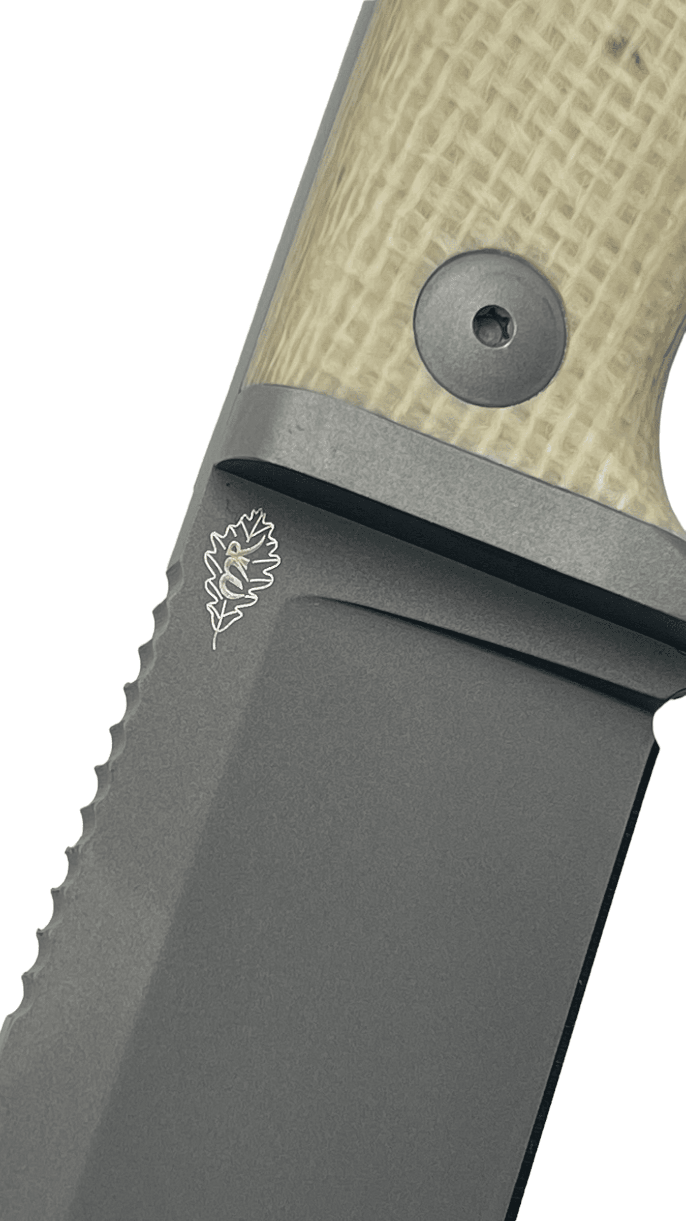 Fox Knives MR104, Micarta Ecru, Niolox – Bild 8