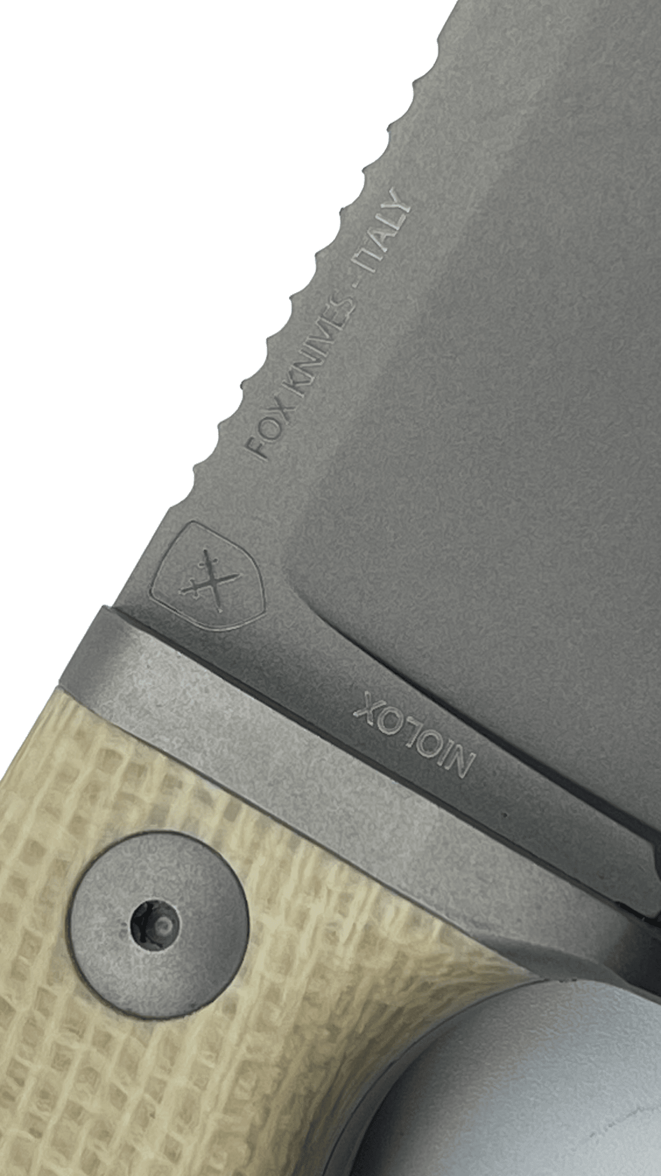 Fox Knives MR104, Micarta Ecru, Niolox – Bild 7