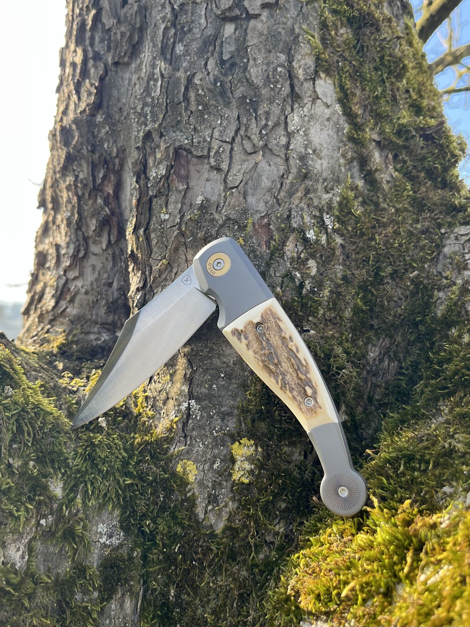 FOX Knives GVP "Gitano" Gen 2 Flipper / Magnacut / Hirschhorn-Inlay – Bild 3