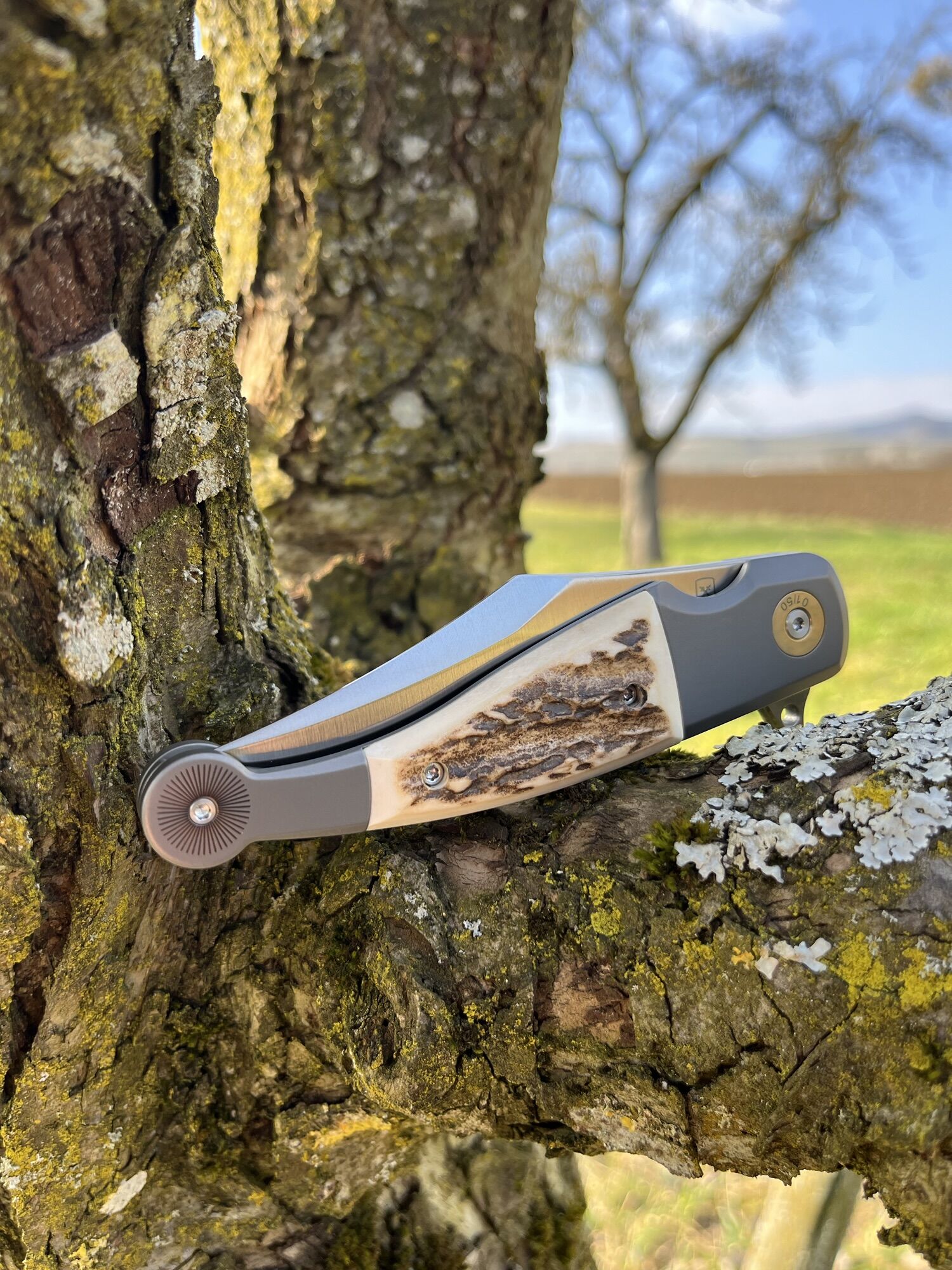 FOX Knives GVP "Gitano" Gen 2 Flipper / Magnacut / Hirschhorn-Inlay – Bild 7