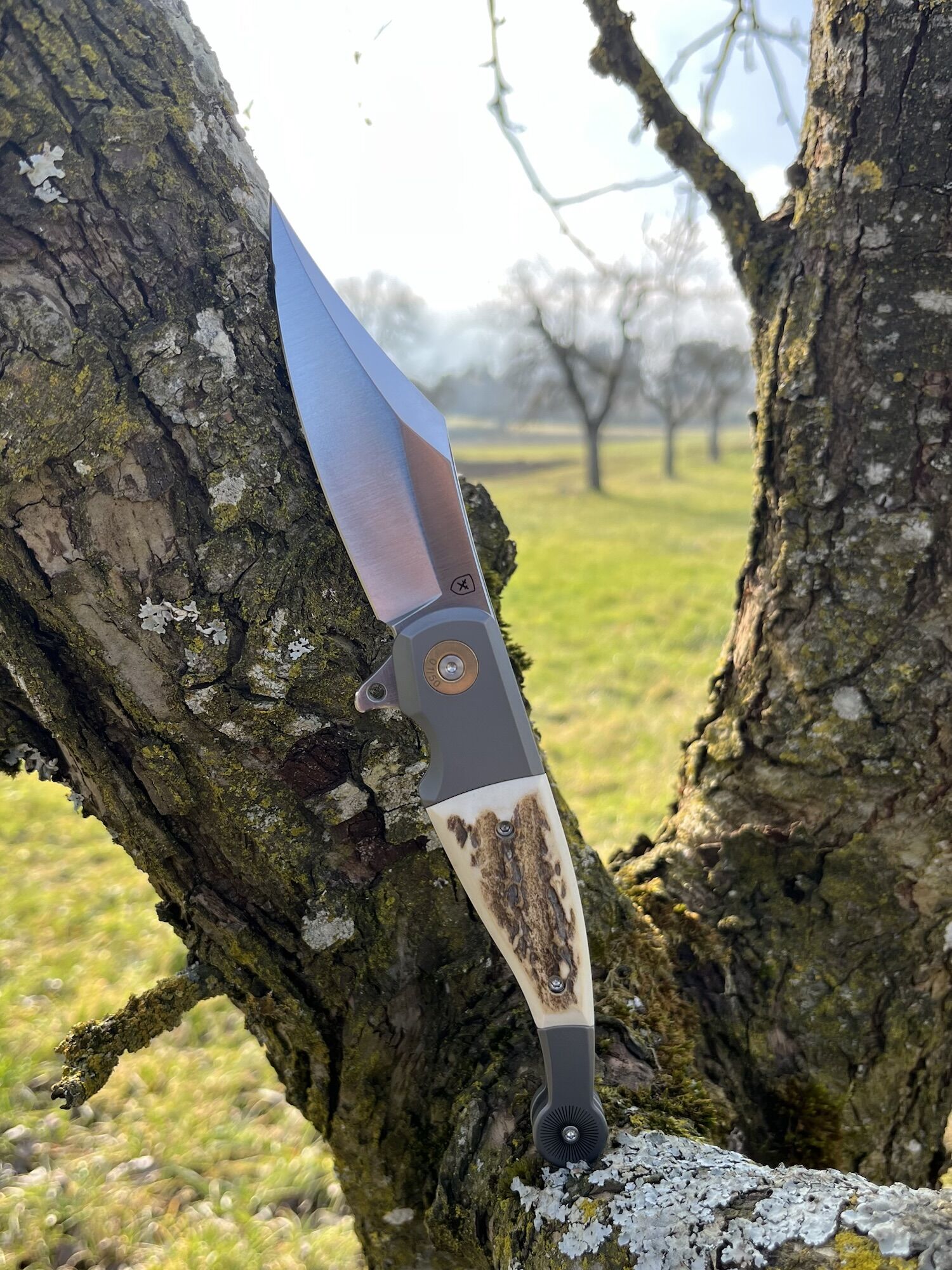FOX Knives GVP "Gitano" Gen 2 Flipper / Magnacut / Hirschhorn-Inlay – Bild 2