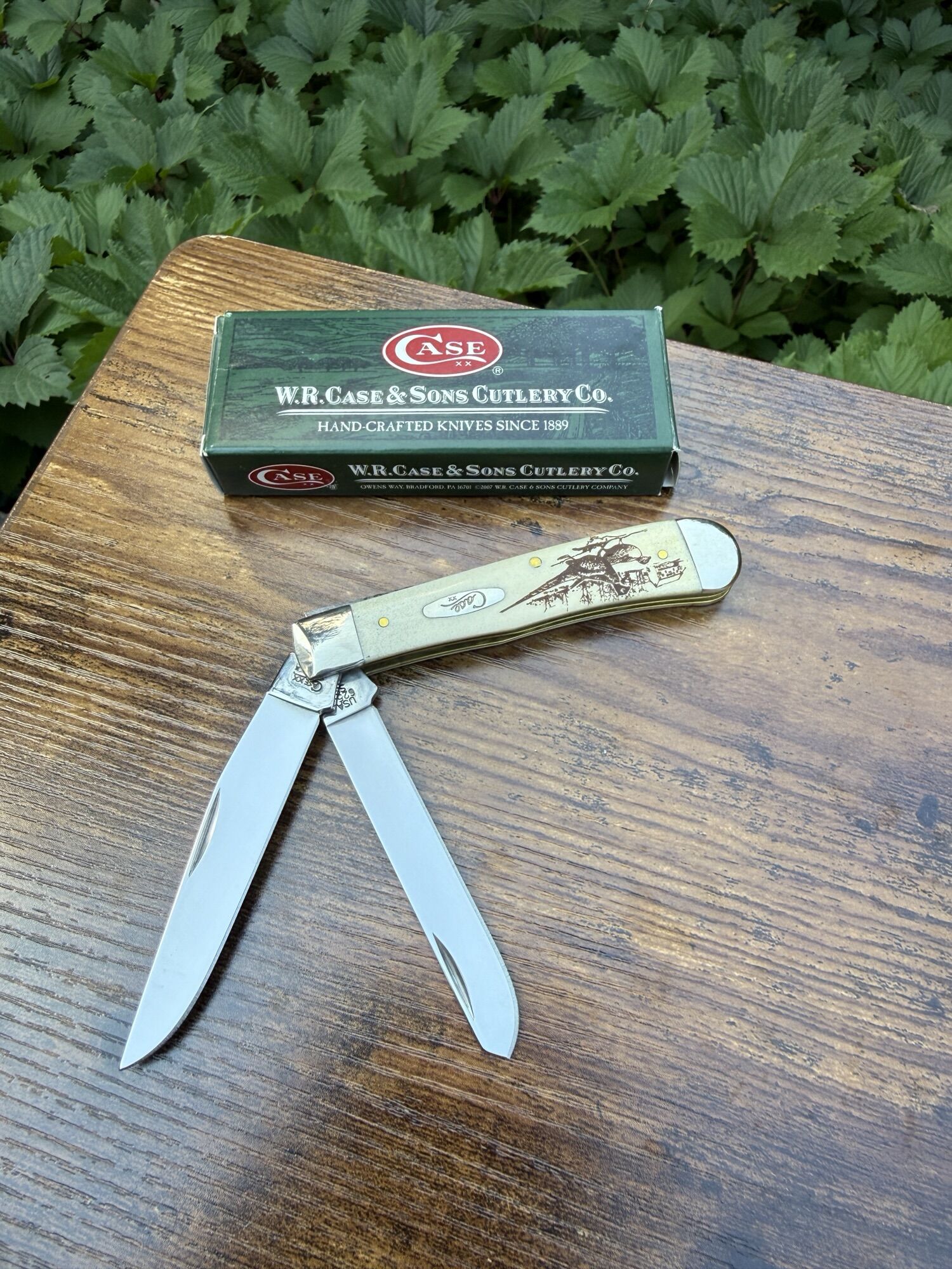 CASE KNIVES | TRAPPER FAGIANO | Knochen mit eingraviertem Fasanenmotiv - Polierter Edelstahl