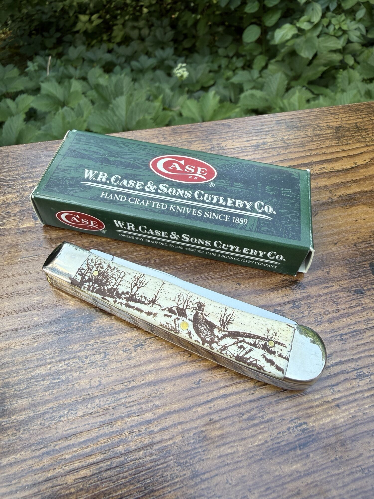 CASE KNIVES | TRAPPER FAGIANO | Knochen mit eingraviertem Fasanenmotiv - Polierter Edelstahl – Bild 2