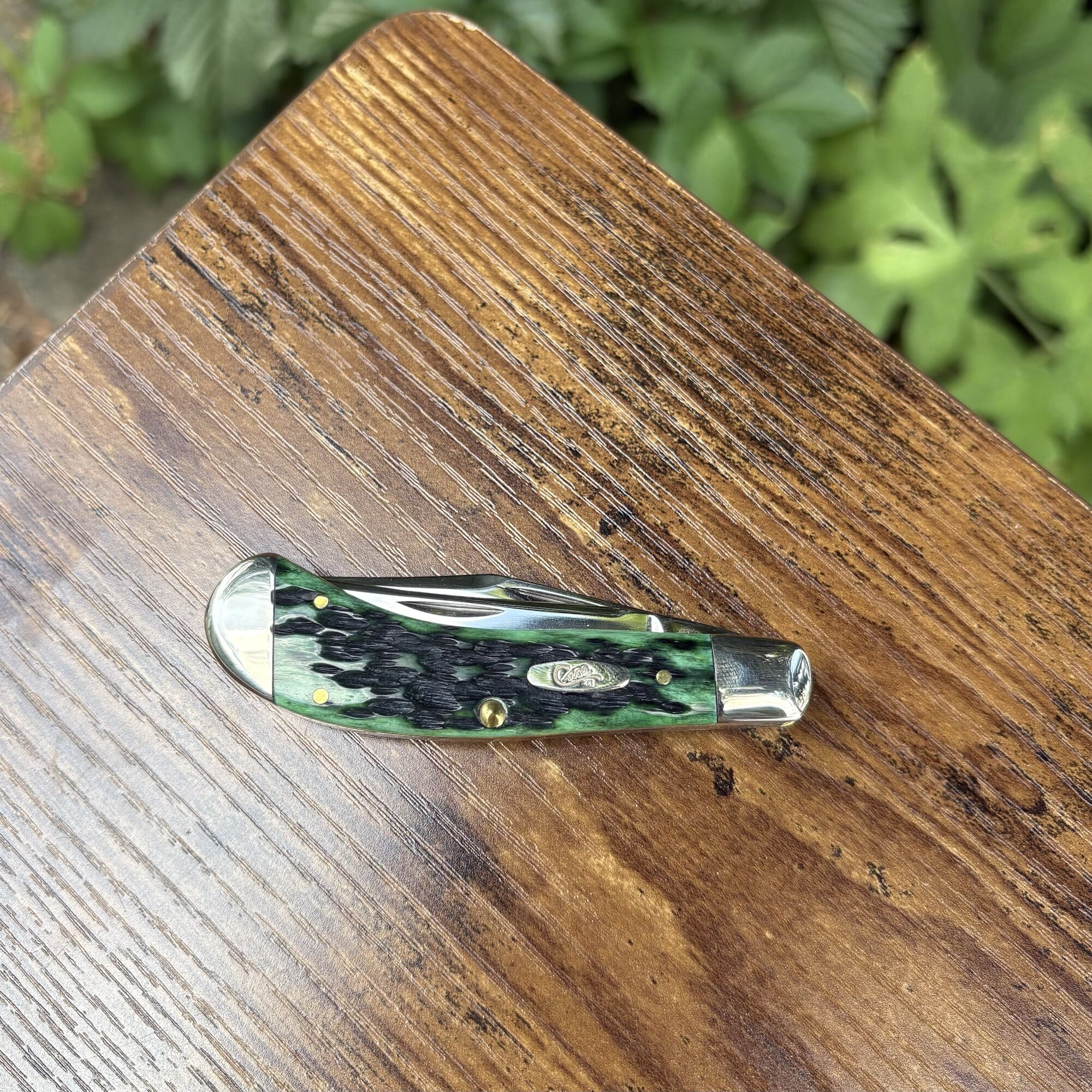 CASE KNIVES | SADDLEHORN BERMUDA GREEN 2 LAME | Horn – Bild 2
