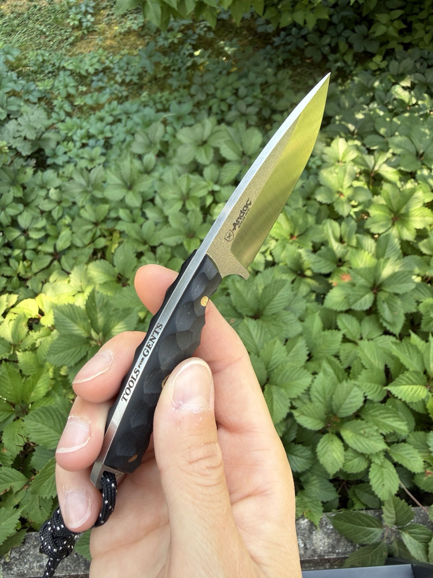 Andaç Bıçak | ROBIN TFG EDITION | N690 / G10 Black - Image 2